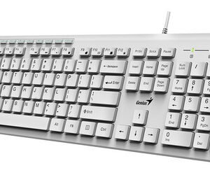 Teclado Genius Slimstar 230 alámbrico